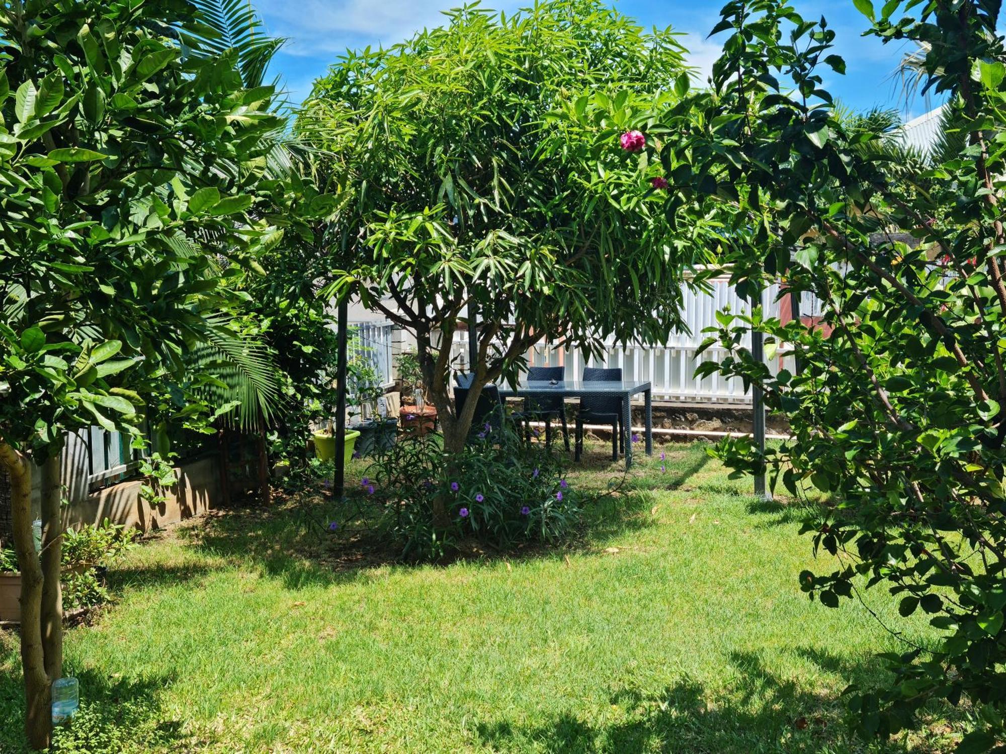 Zoizo Vert - Studio Au Calme Avec Jardin - St Leu Saint-Leu Exteriér fotografie